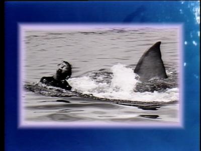The Jaws Archives: Production Photographs