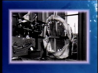 The Jaws Archives: Production Photographs