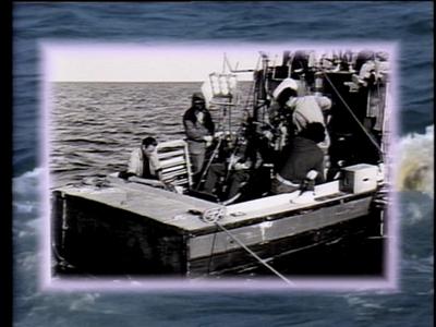 The Jaws Archives: Production Photographs