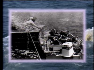 The Jaws Archives: Production Photographs