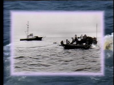 The Jaws Archives: Production Photographs