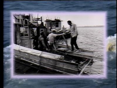 The Jaws Archives: Production Photographs