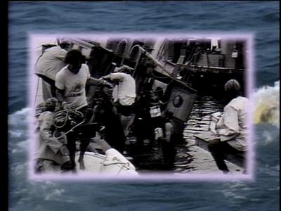 The Jaws Archives: Production Photographs