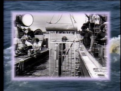 The Jaws Archives: Production Photographs