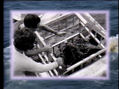 The Jaws Archives: Production Photographs