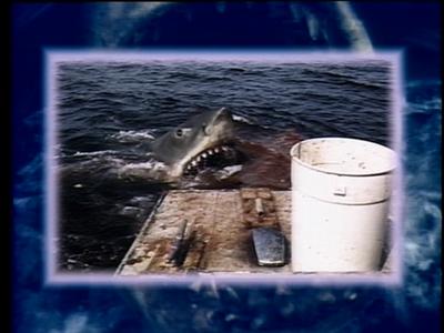 The Jaws Archives: Production Photographs