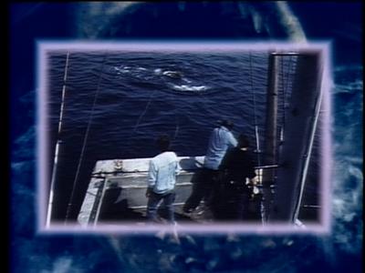 The Jaws Archives: Production Photographs