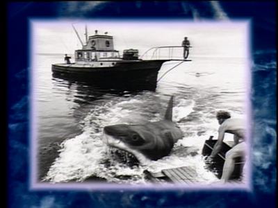 The Jaws Archives: Production Photographs