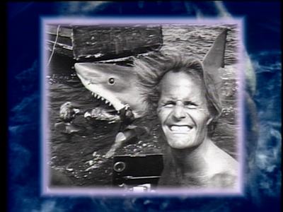 The Jaws Archives: Production Photographs