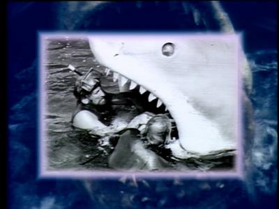 The Jaws Archives: Production Photographs