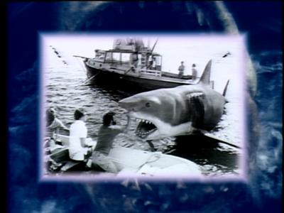 The Jaws Archives: Production Photographs