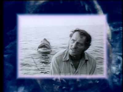 The Jaws Archives: Production Photographs
