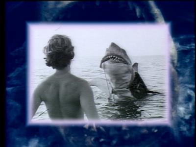 The Jaws Archives: Production Photographs