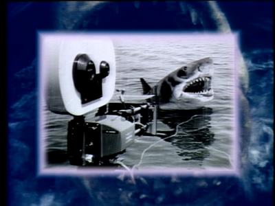The Jaws Archives: Production Photographs