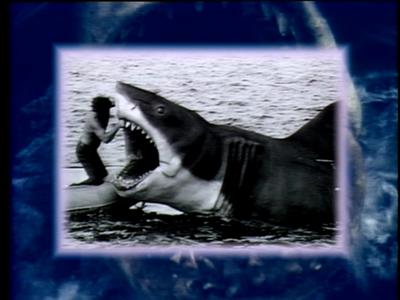 The Jaws Archives: Production Photographs
