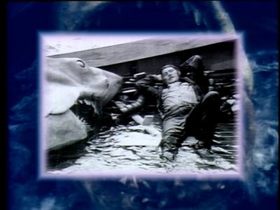 The Jaws Archives: Production Photographs
