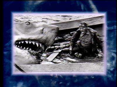 The Jaws Archives: Production Photographs