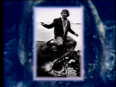 The Jaws Archives: Production Photographs