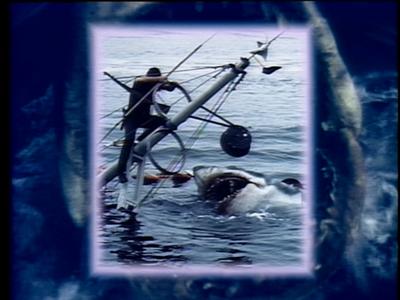 The Jaws Archives: Production Photographs