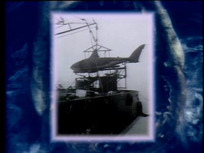 The Jaws Archives: Production Photographs