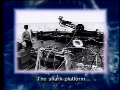 The Jaws Archives: Production Photographs