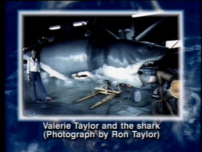 The Jaws Archives: Production Photographs