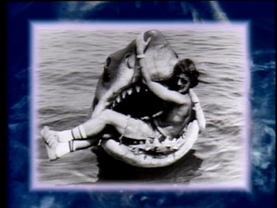 The Jaws Archives: Production Photographs