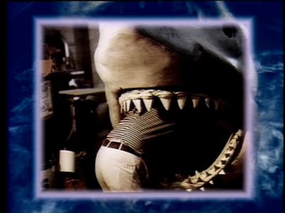 The Jaws Archives: Production Photographs