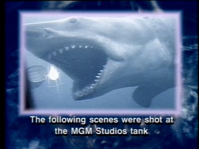 The Jaws Archives: Production Photographs