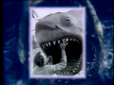 The Jaws Archives: Production Photographs