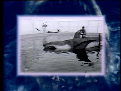 The Jaws Archives: Production Photographs