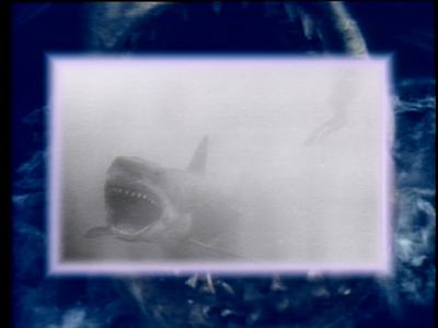The Jaws Archives: Production Photographs