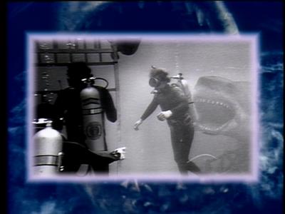 The Jaws Archives: Production Photographs