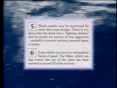 The Jaws Archives: Production Photographs