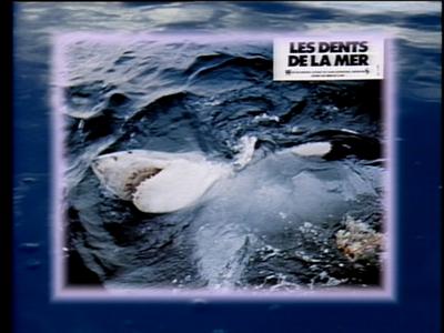 The Jaws Archives: Production Photographs