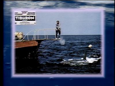 The Jaws Archives: Production Photographs