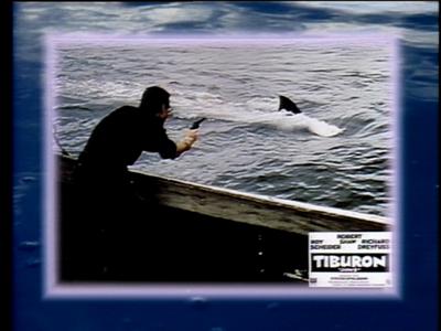 The Jaws Archives: Production Photographs