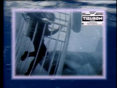 The Jaws Archives: Production Photographs
