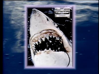 The Jaws Archives: Production Photographs