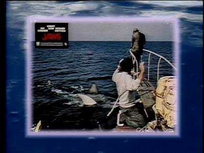 The Jaws Archives: Production Photographs