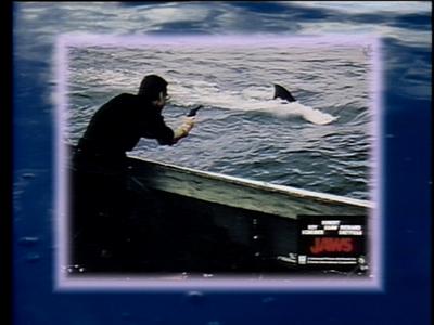 The Jaws Archives: Production Photographs