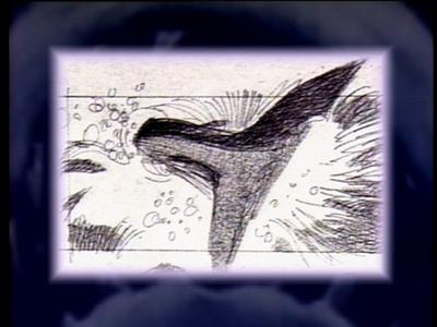 The Jaws Archives: Storyboards and Original Drawings