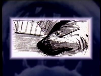 The Jaws Archives: Storyboards and Original Drawings