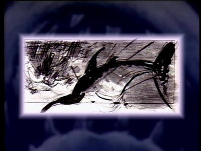 The Jaws Archives: Storyboards and Original Drawings