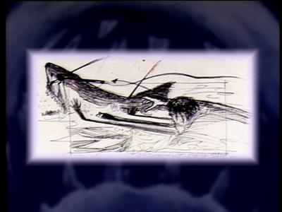 The Jaws Archives: Storyboards and Original Drawings