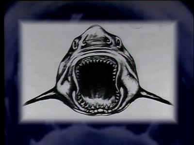 The Jaws Archives: Storyboards and Original Drawings