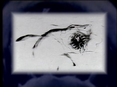 The Jaws Archives: Storyboards and Original Drawings