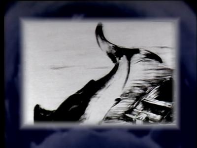 The Jaws Archives: Storyboards and Original Drawings