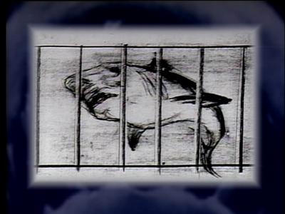 The Jaws Archives: Storyboards and Original Drawings