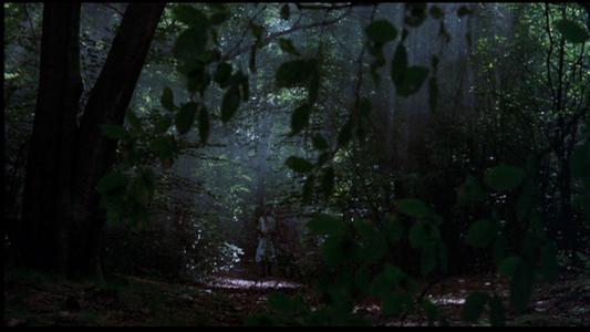 Monty Python and the Holy Grail